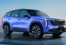 جيلي ستار راي في مصر.